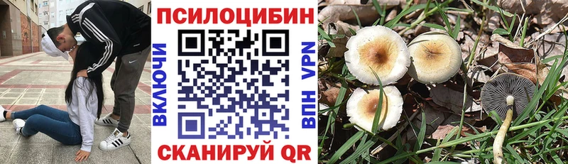 Псилоцибиновые грибы мицелий Приволжский