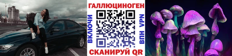 Псилоцибиновые грибы Psilocybine cubensis  купить наркоту  Приволжский 