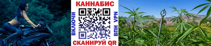 Шишки марихуана план  Приволжский 